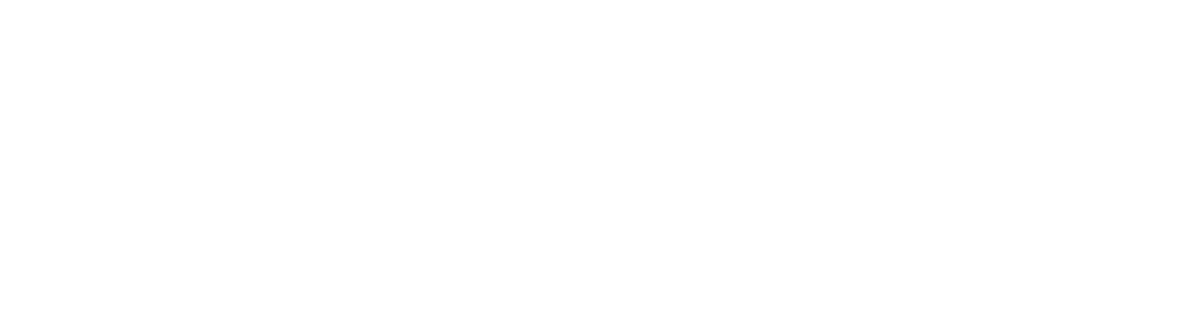 Discord Partner